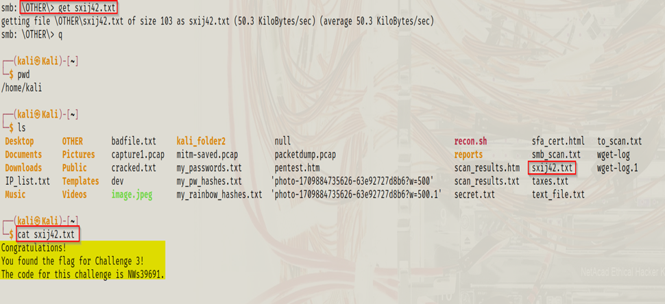 Viewing file contents