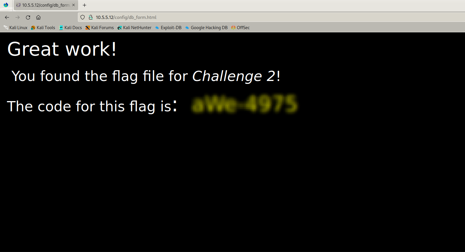 Flag retrieved